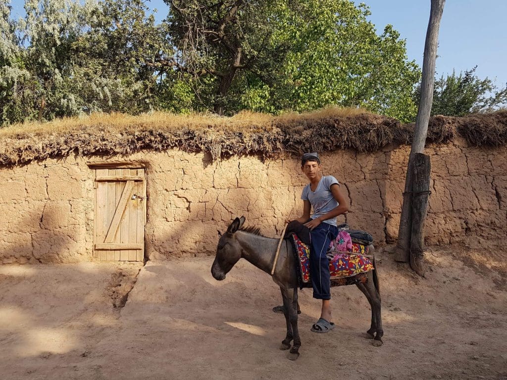 boy and donkey